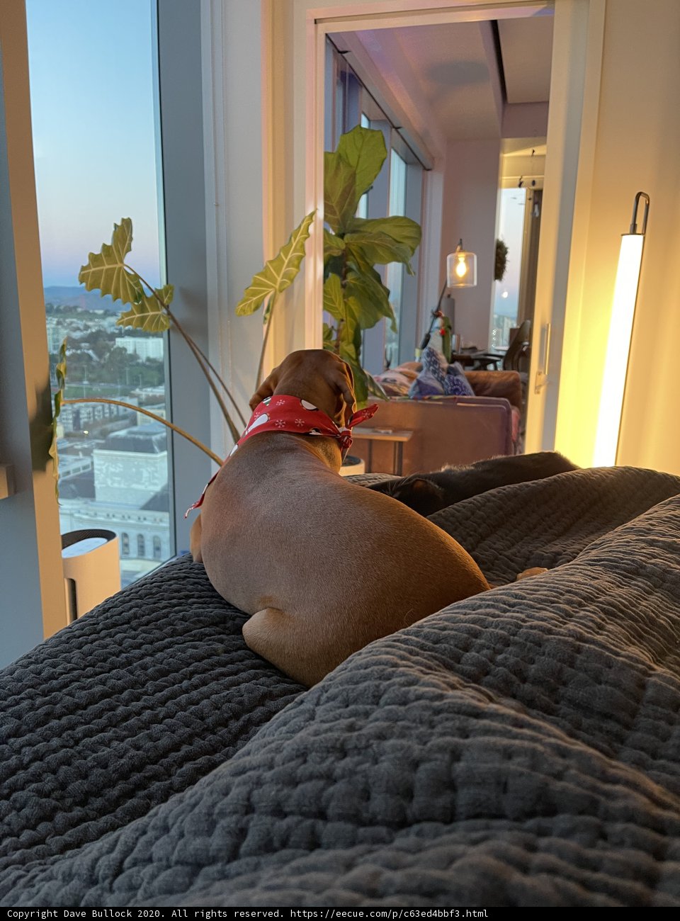 Urban Bliss