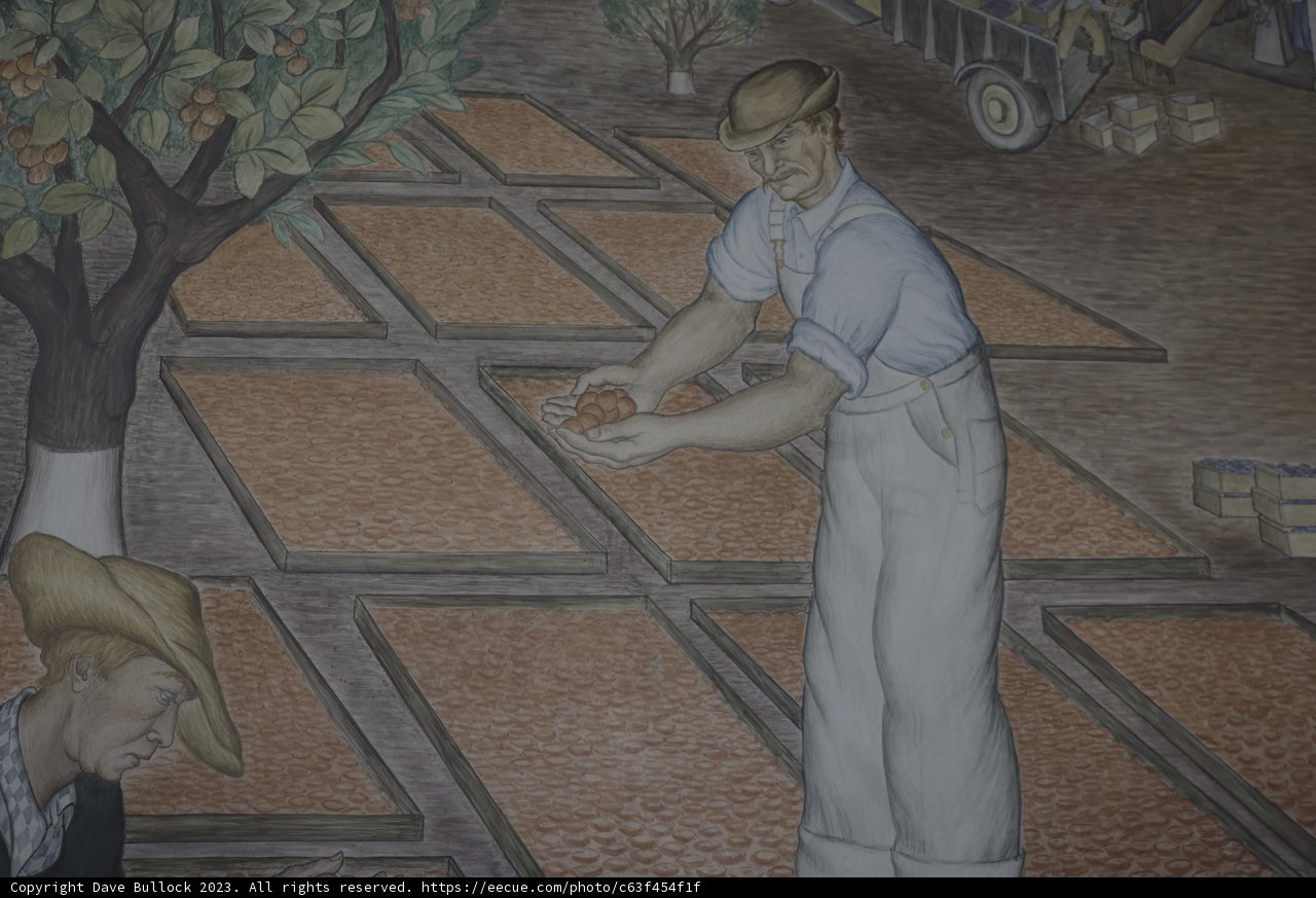 Orange Grove Workers