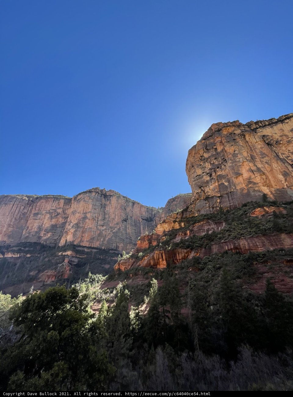Canyon Sunlight