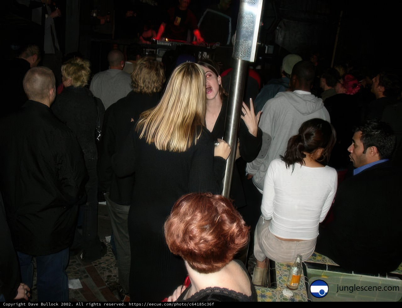 Nightlife Diva