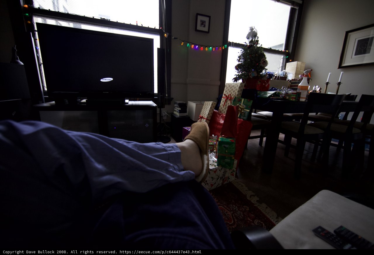Cozy Christmas Day on the Couch
