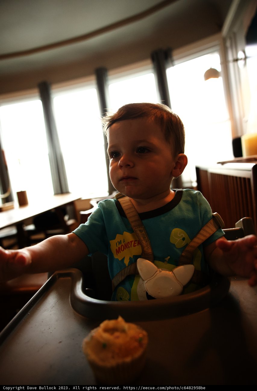 Wesley's First Birthday Bash: An Edible Adventure