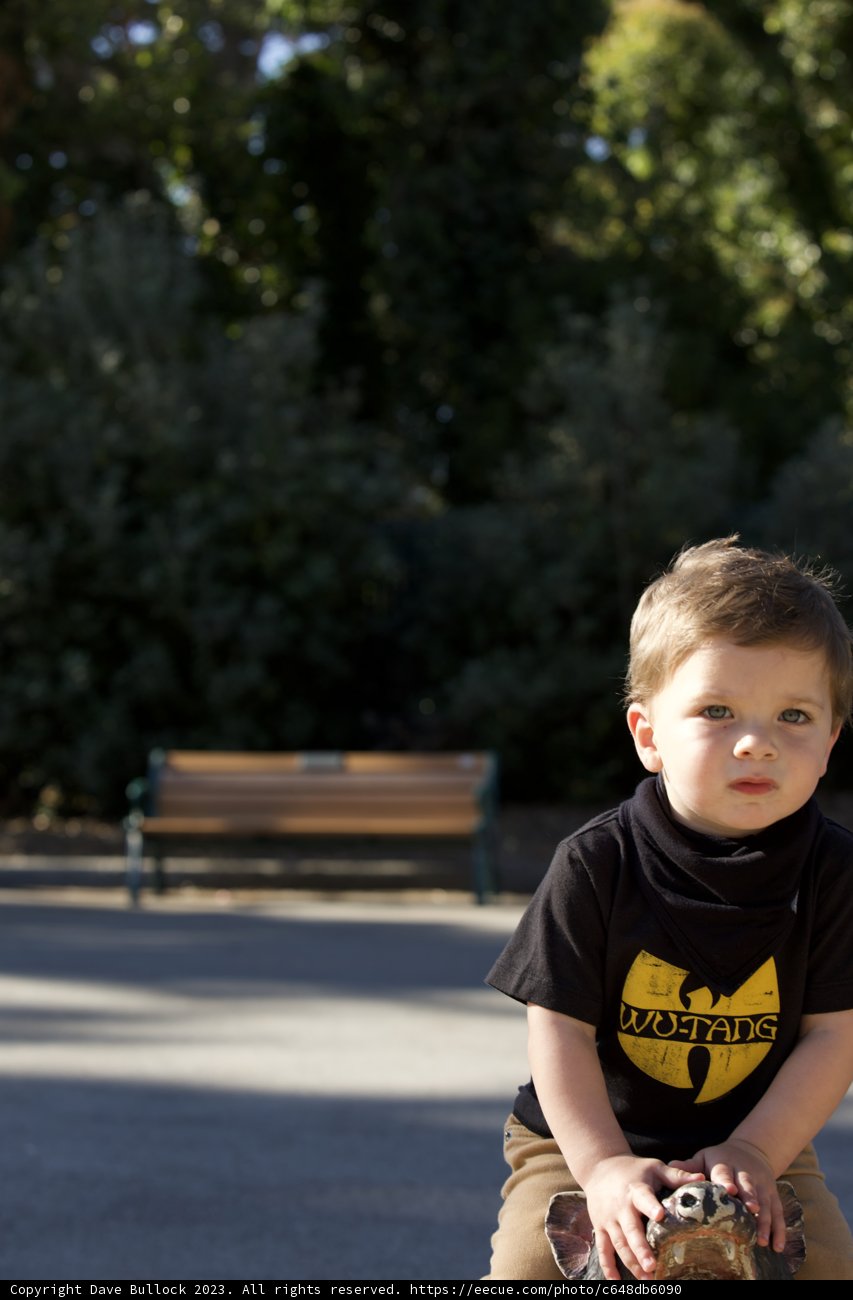 Thrills on Wheels - Wesley's Skateboarding Adventure