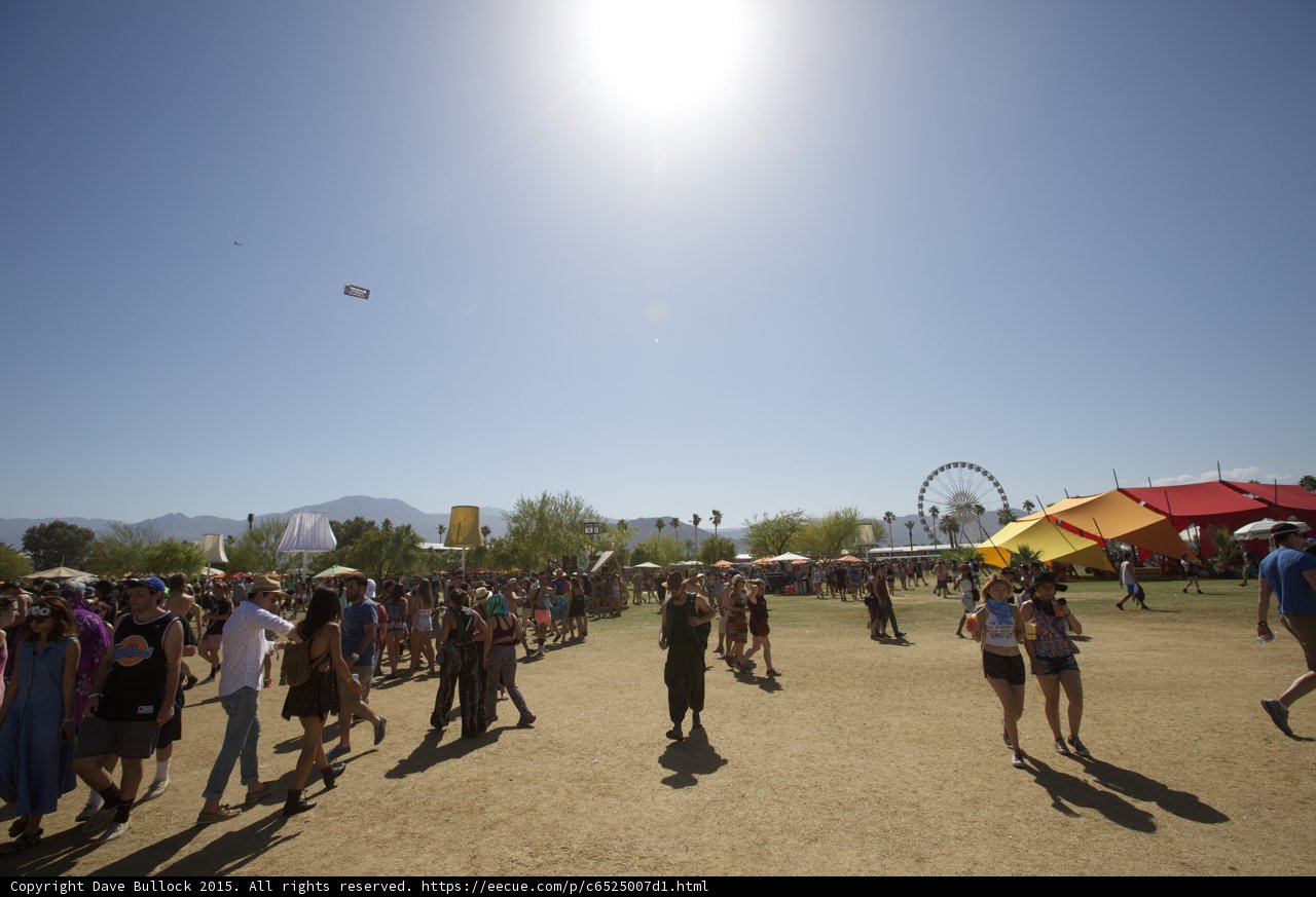Festival Fun with Kites