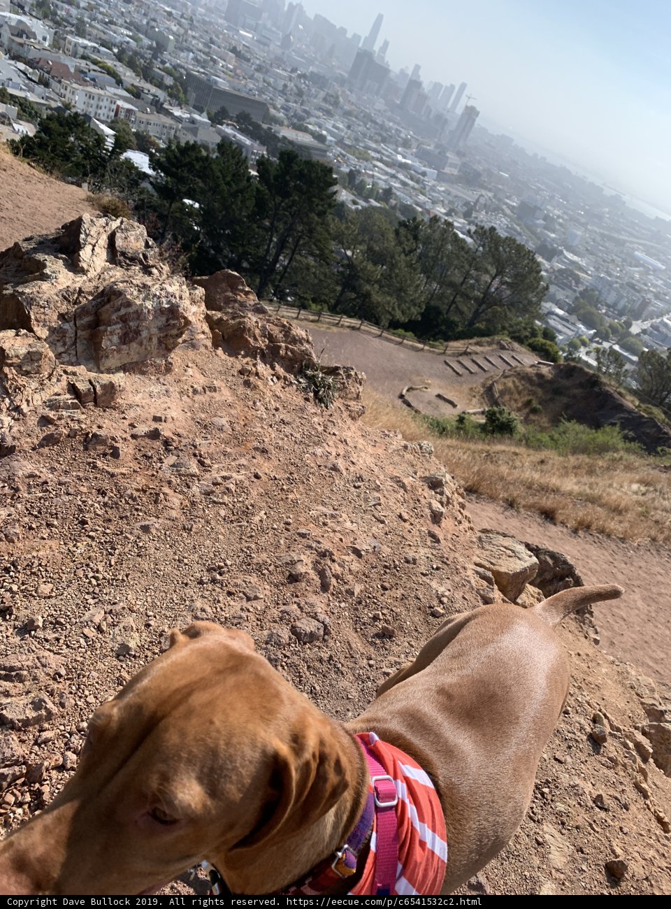 City Overlook