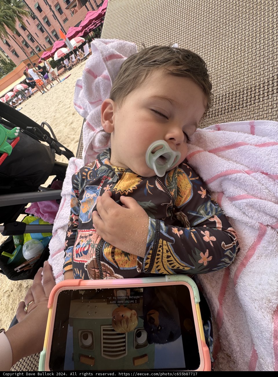 Snooze on the Shore: Wesley's Beach Nap