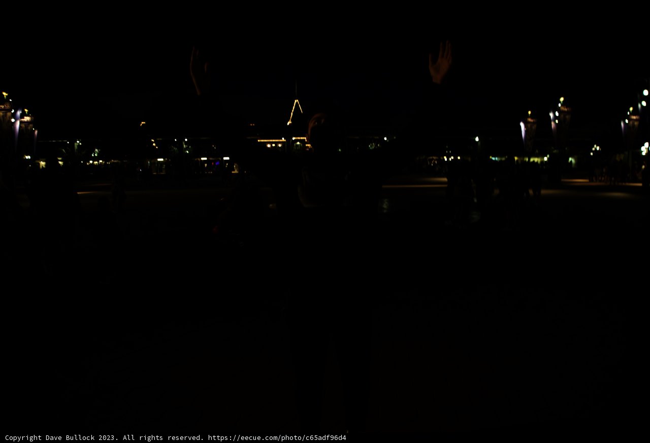 Enigmatic Night in the Park