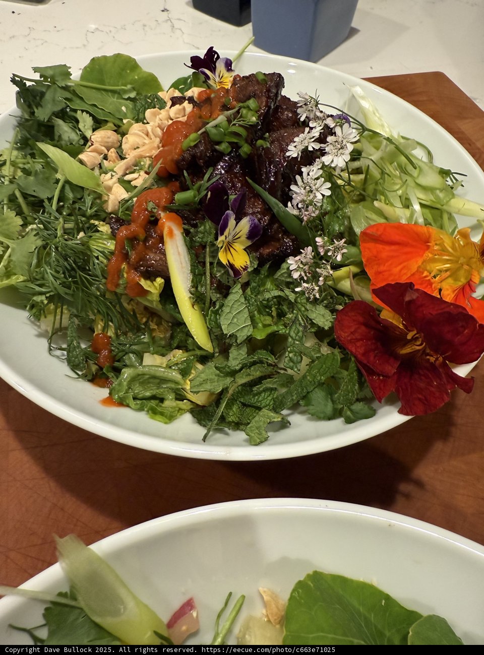A Symphony of Greens and Colorful Delights