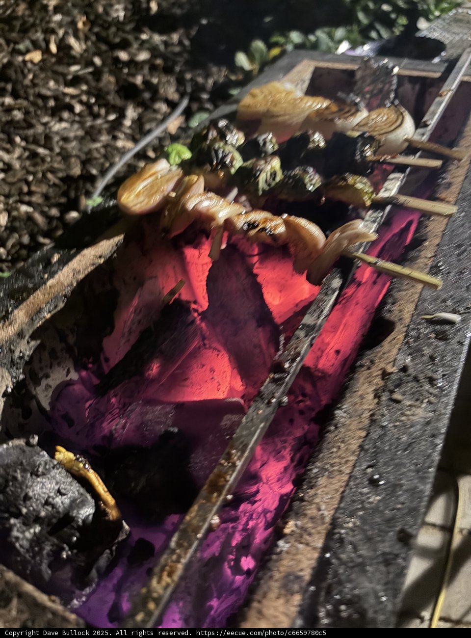 Grilling Magic Under the Stars