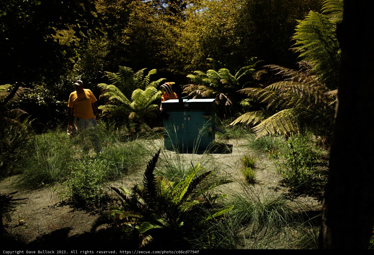 Day at the de Young Museum: The Blend of Nature and Friendship