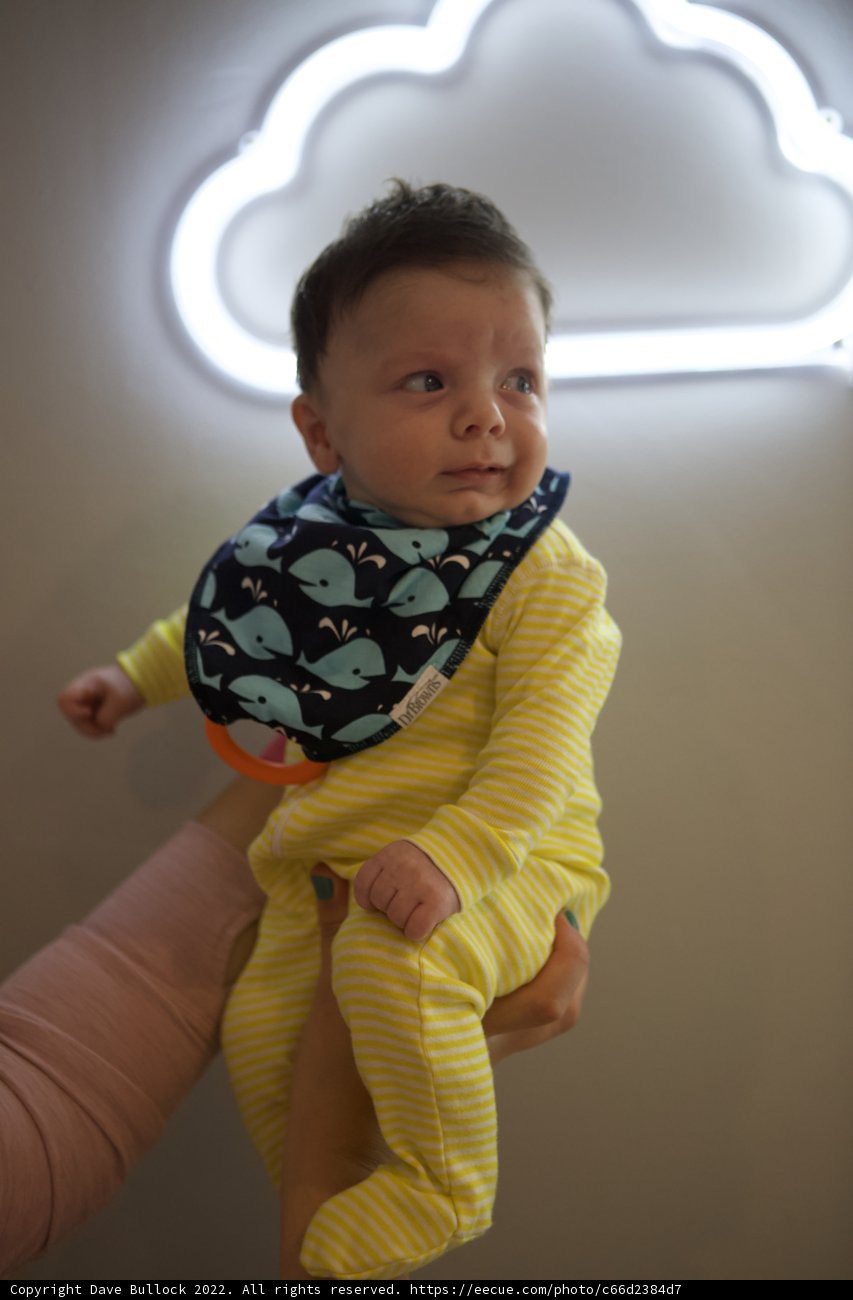 Neon Novelties with Baby Wesley