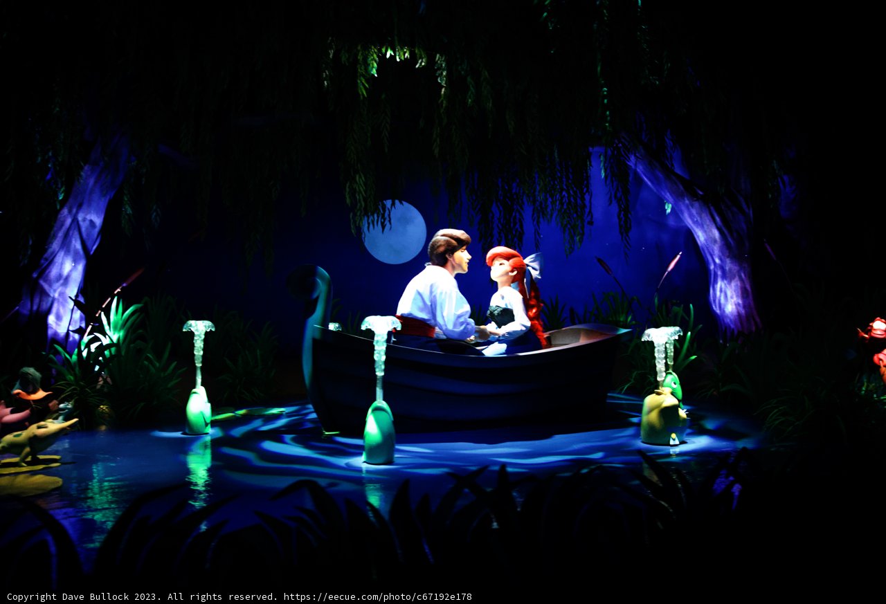 Magical Moments at Disneyland with Ariel and Prince Naveen