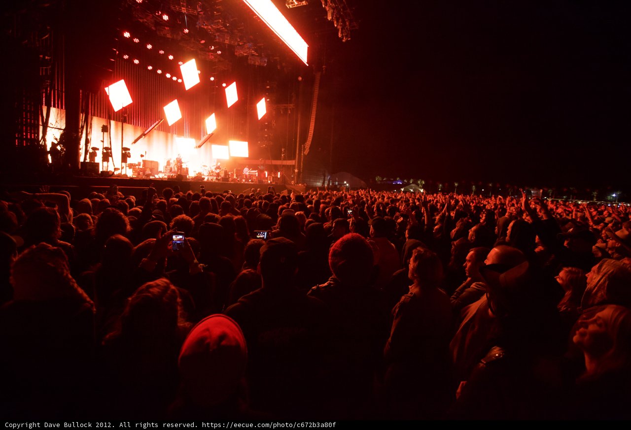 Rocking Under the Night Sky