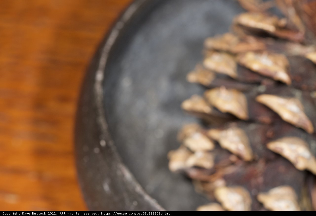 Rustic Pine Cone Decor