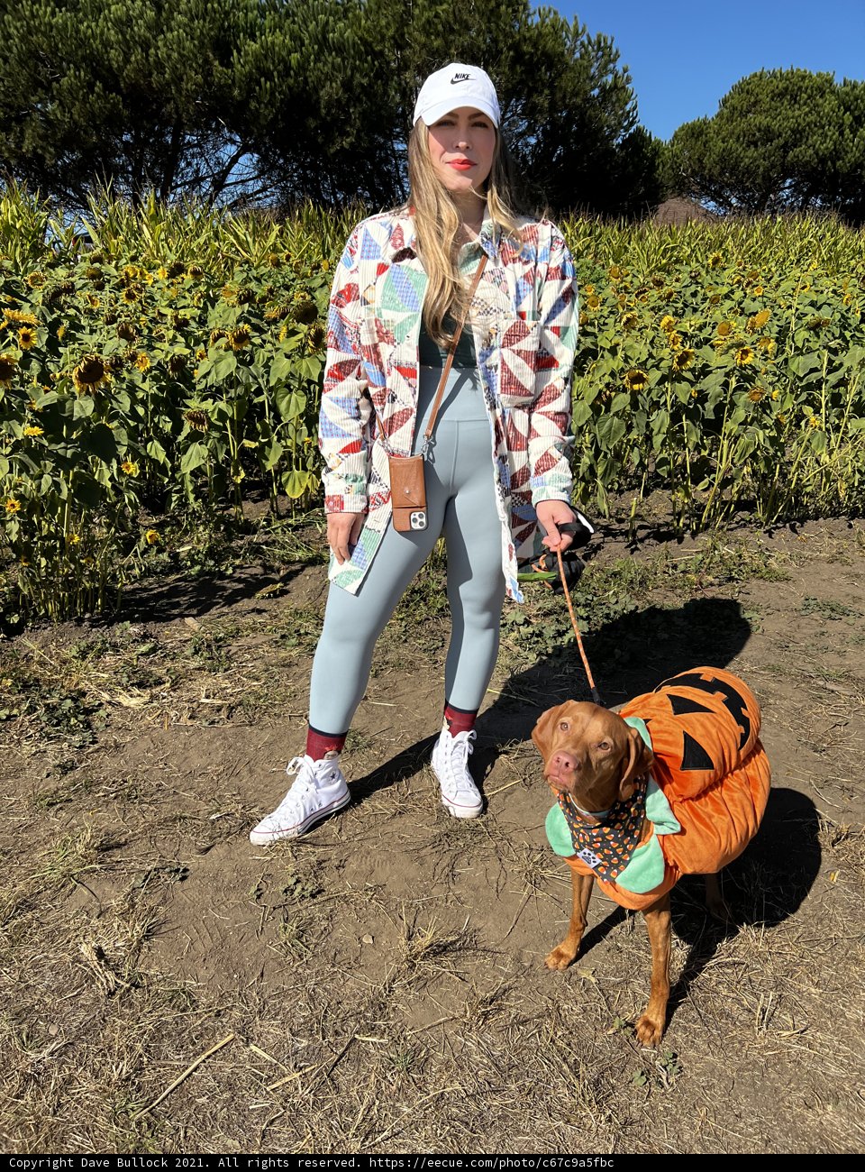 Farmer and Fido