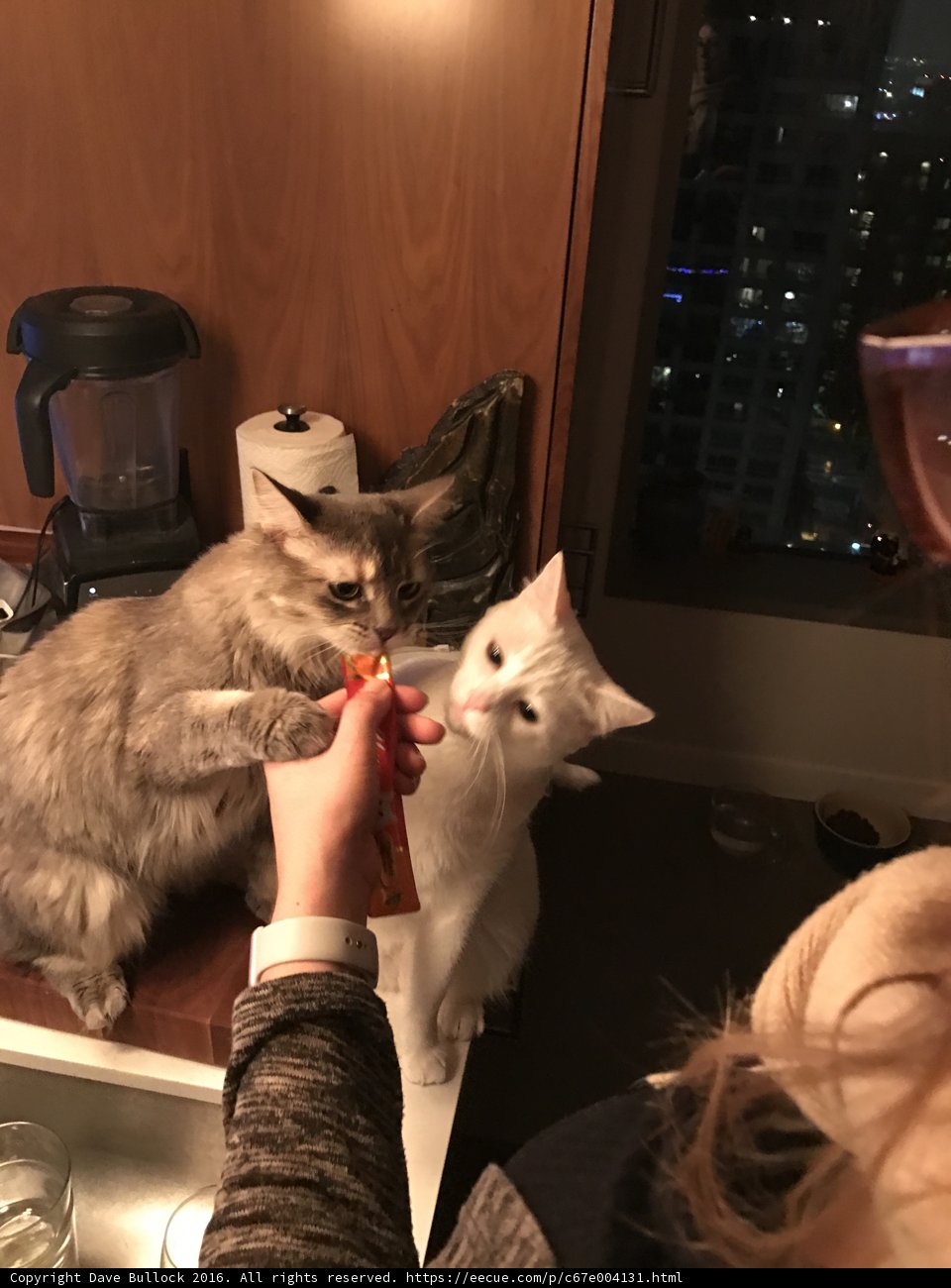 Feeding Time