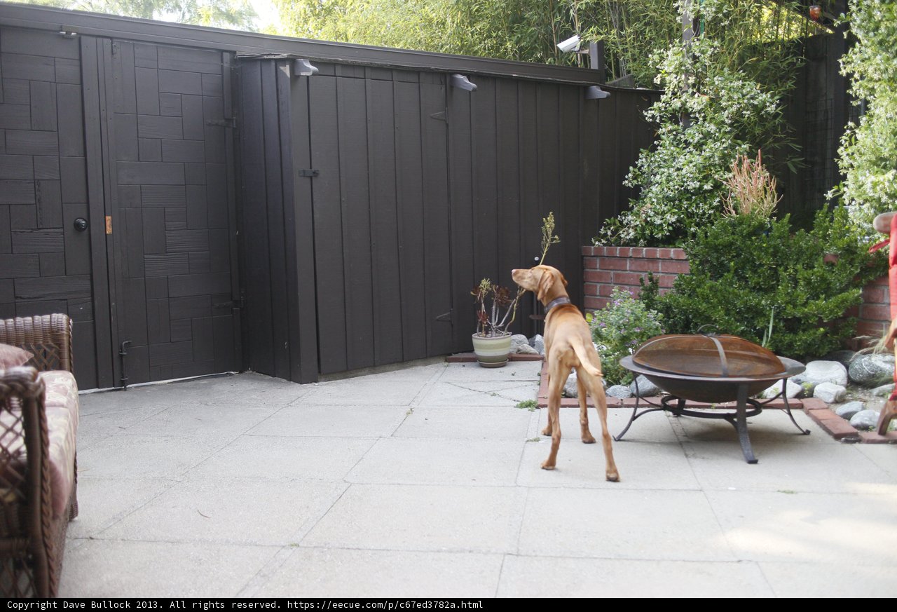 Canine Chillout Zone