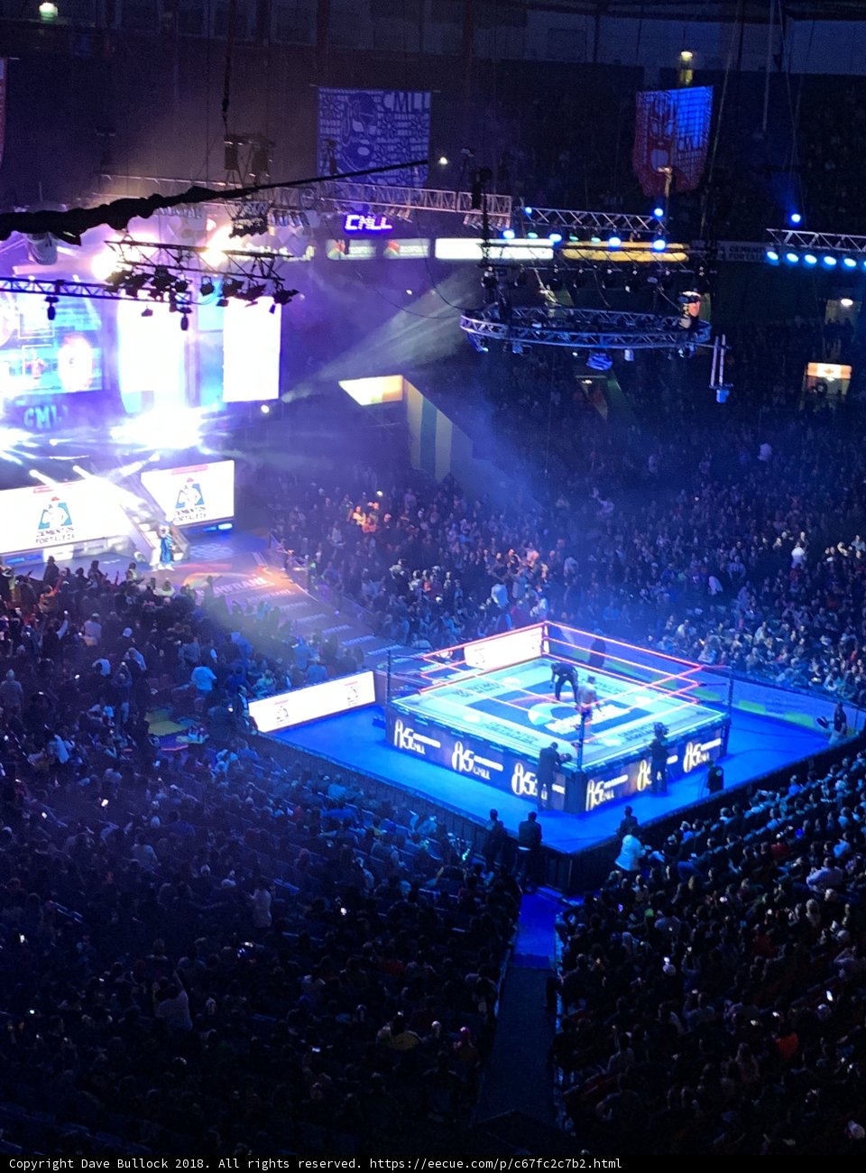 Rocking Out in a City Arena