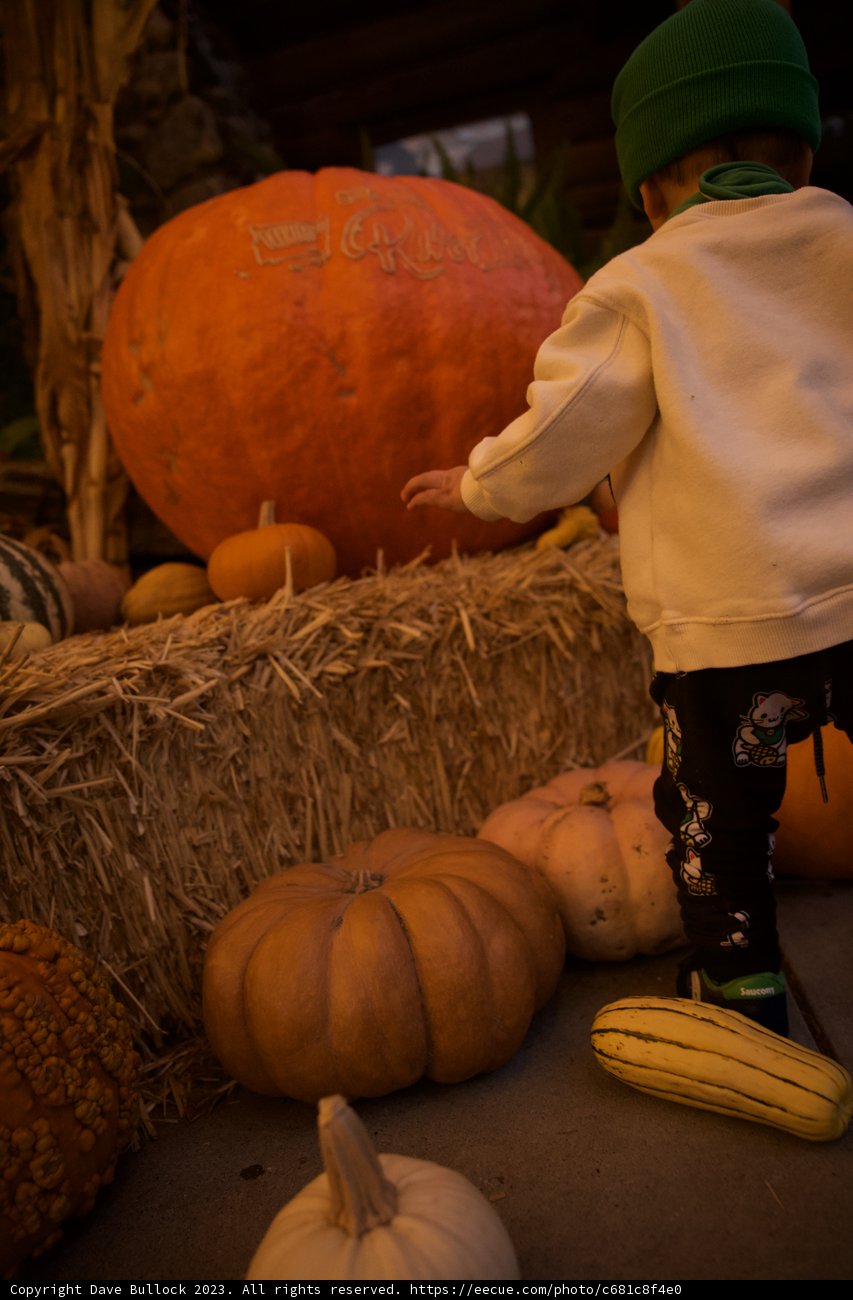 Wesley's Giant Pumpkin Story: Big Sur Adventure 2023