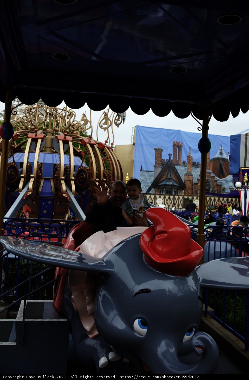 Magical Moments at Disneyland