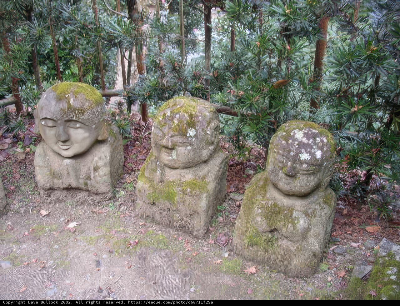 Four Stone Faces in a Row