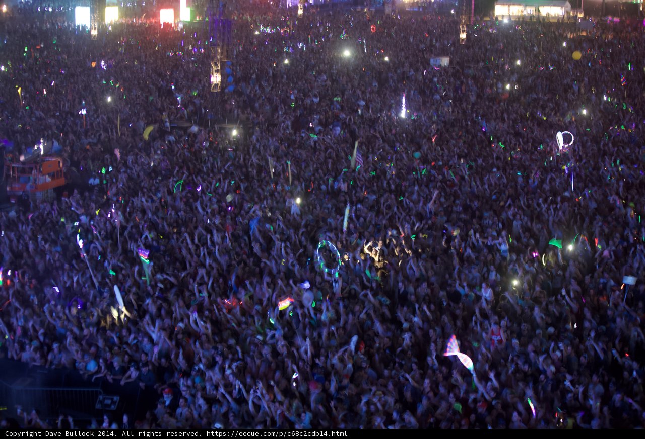 Electric Nights at Coachella