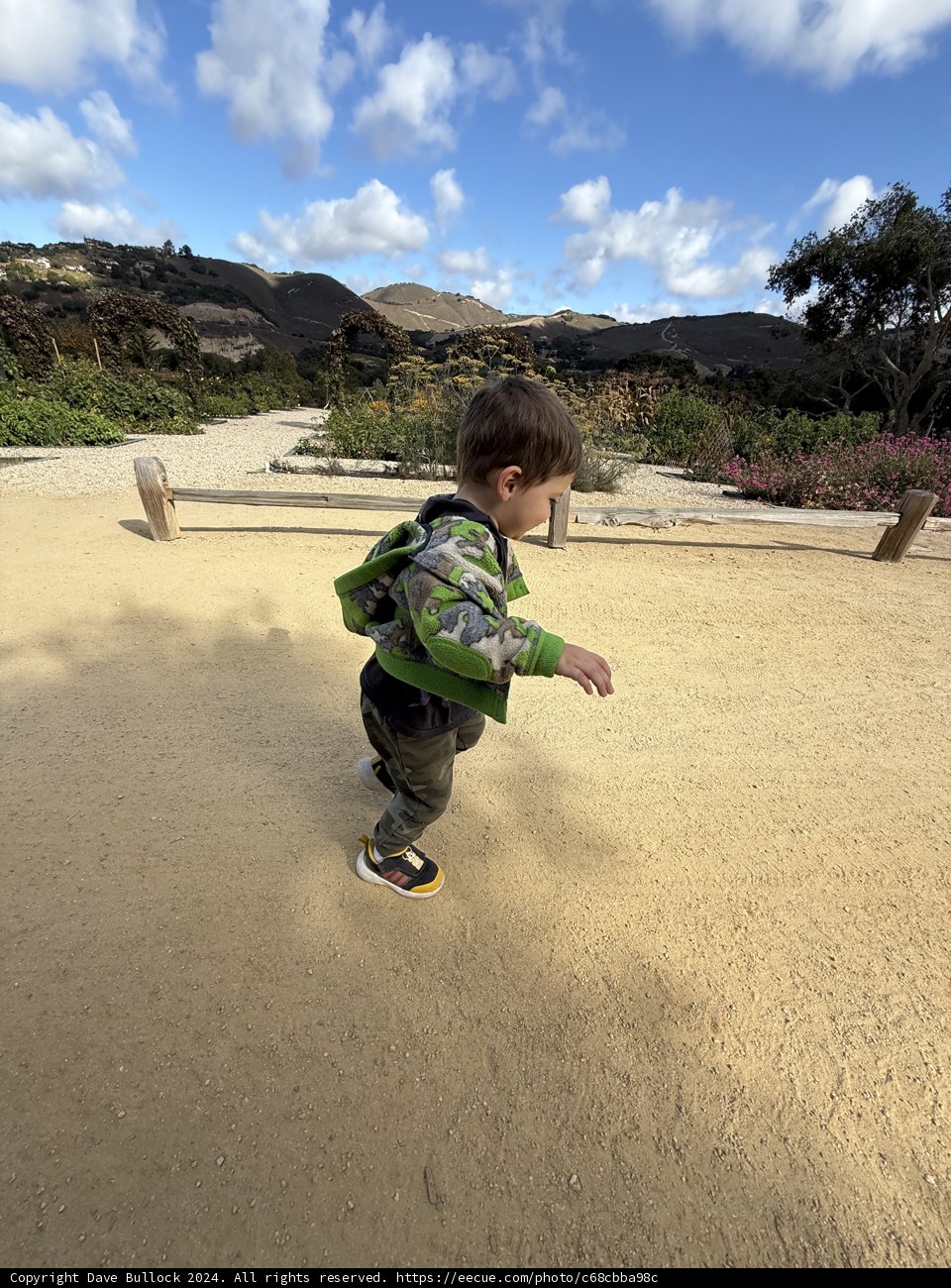 Exploring the Path Ahead