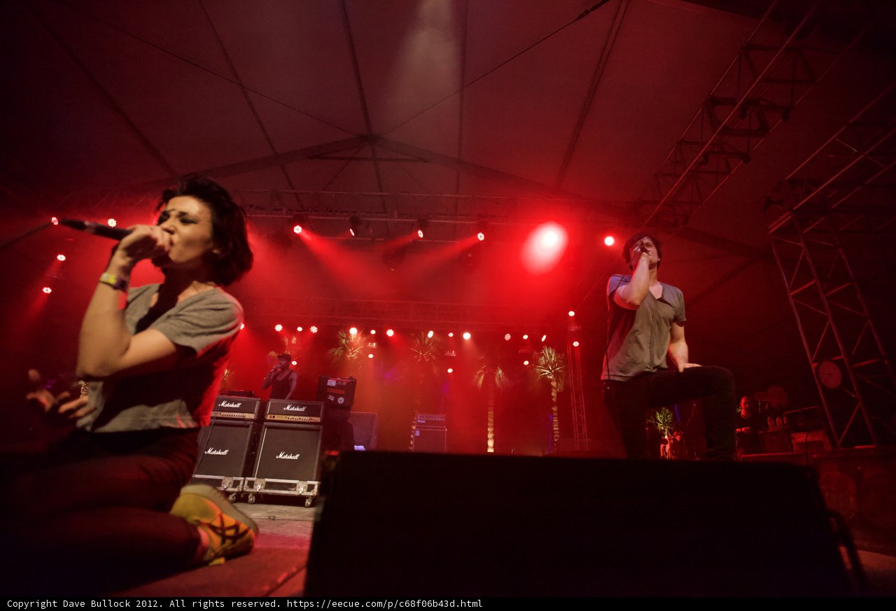 Electrifying Performance at Coachella Concert
