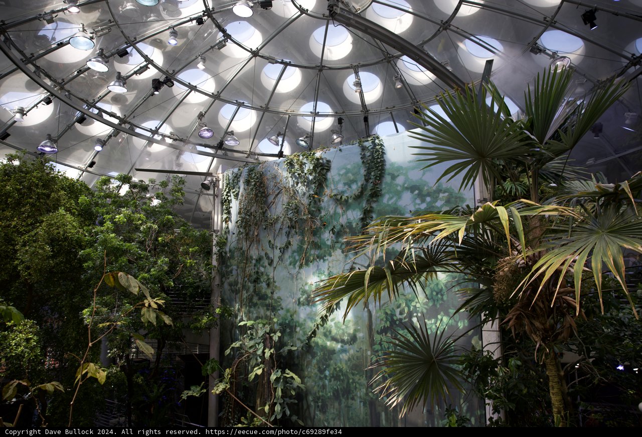 The Rainforest Dome: A Glimpse into the Heart of Nature
