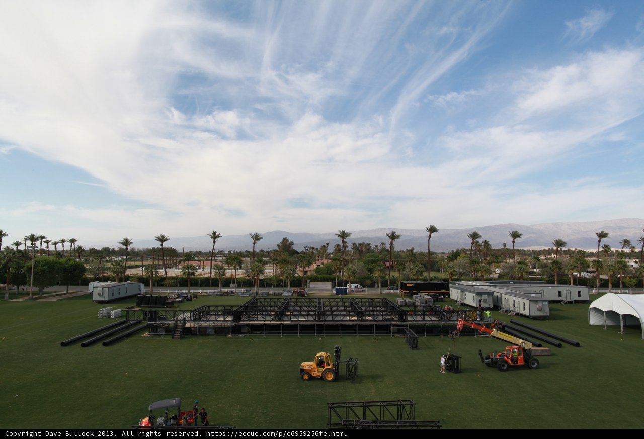 Coachella Field Frenzy