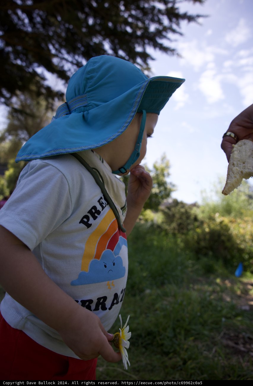 Nature's Innocence: Earth Day Celebrations