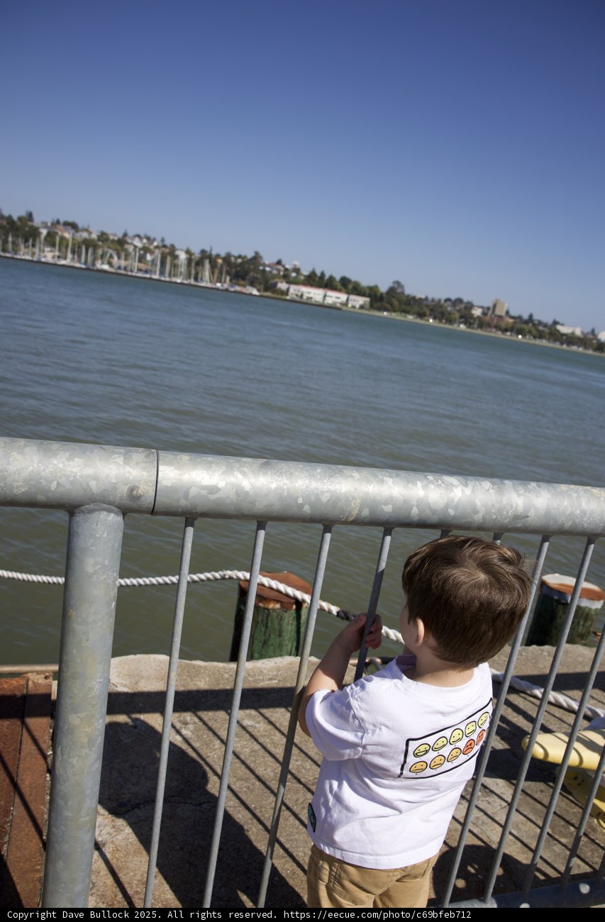 Curious Eyes on the Waterfront