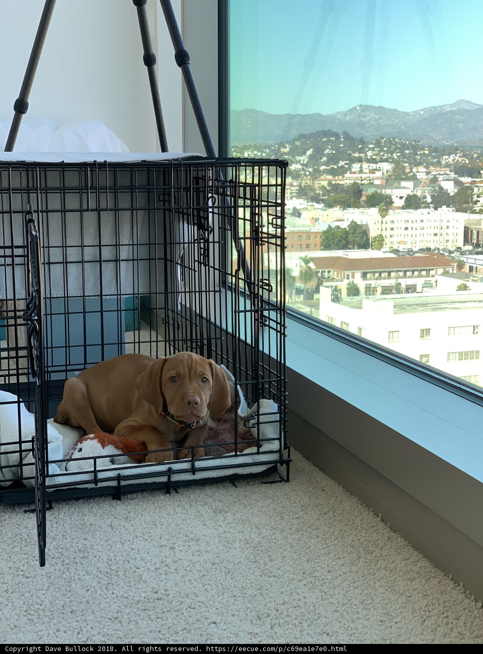 Trapped