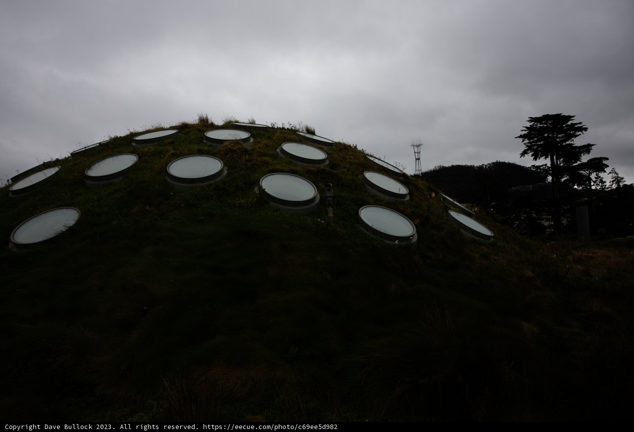The Green Dome of California Academy of Sciences