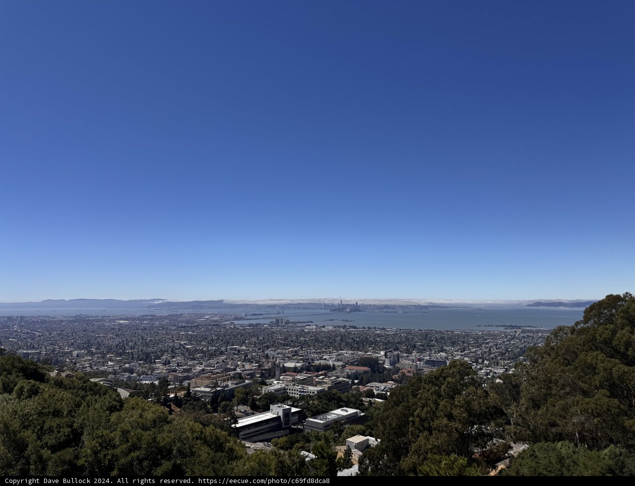 Panoramic Tranquility Over Berkeley