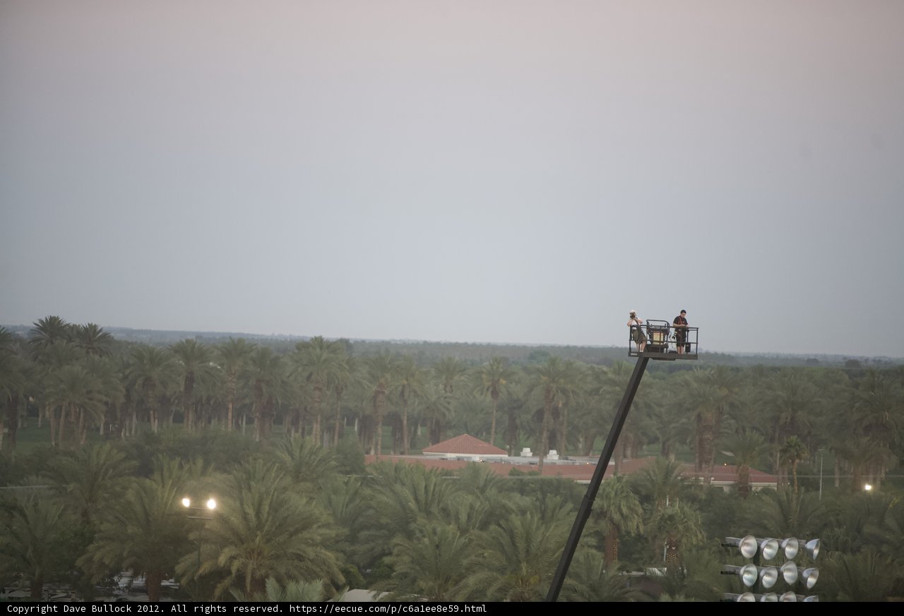 Pole Dancing Amongst the Palms