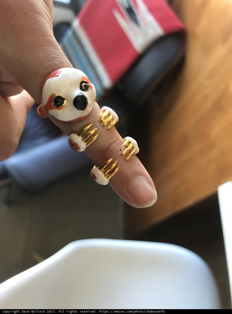 Canine Companion