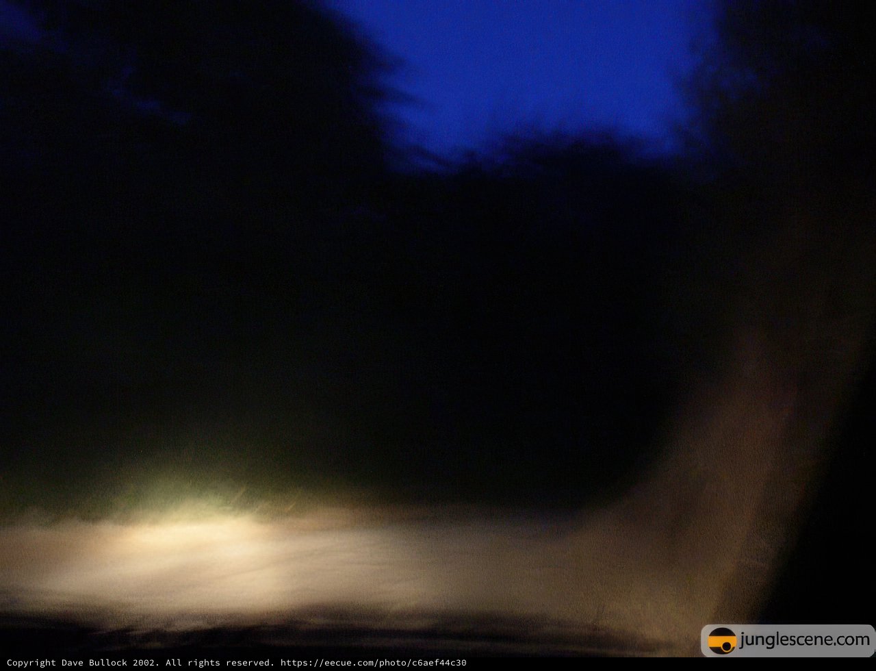 Night Drive