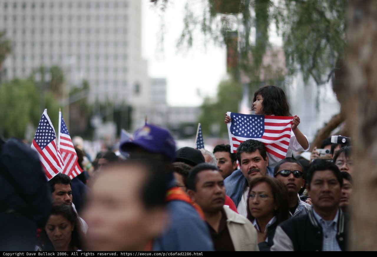 Patriotic Crowd