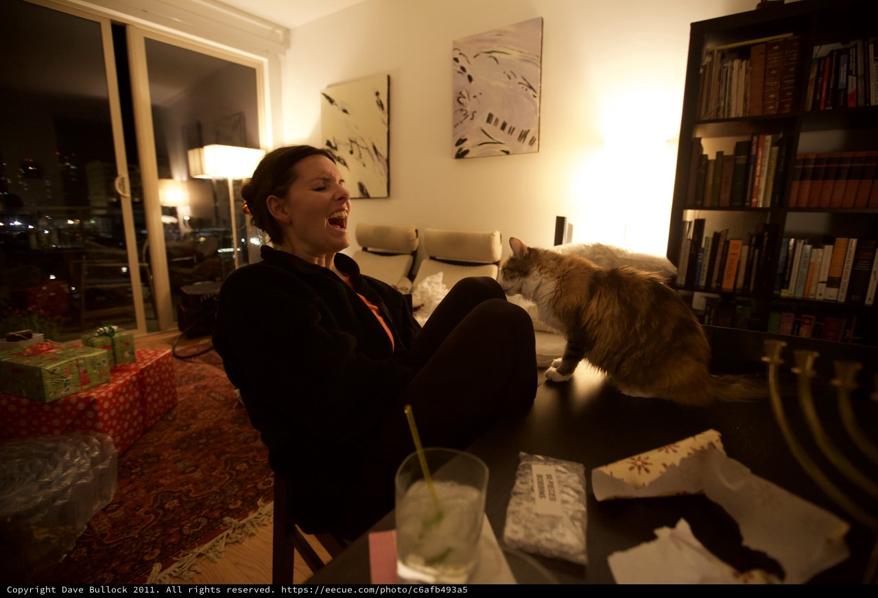 Laughing Woman and Cat Share a Cozy Evening