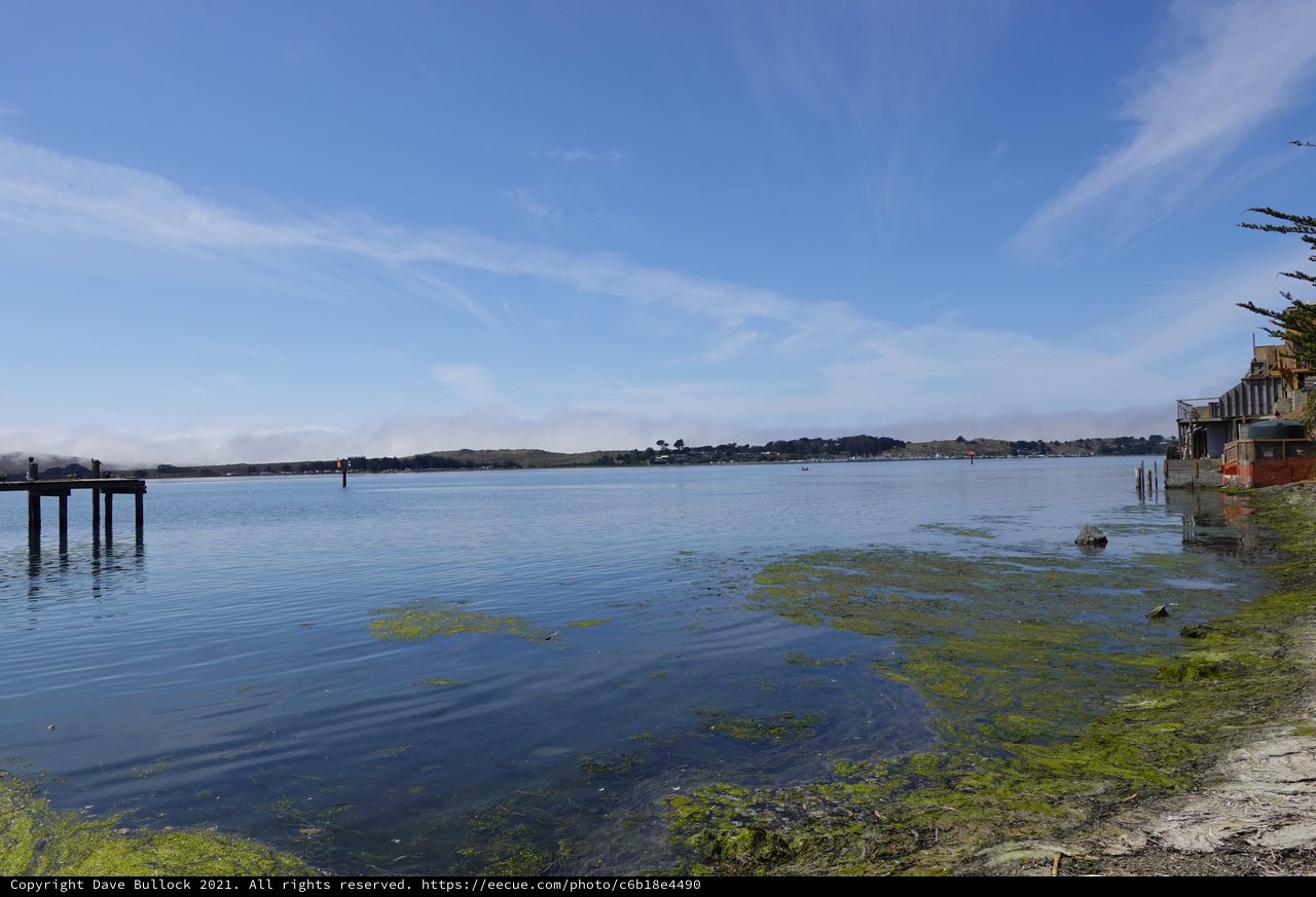 Serene Coastal Harbor with Green Algae
