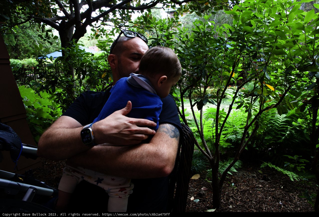 Cherished Moments at Disneyland