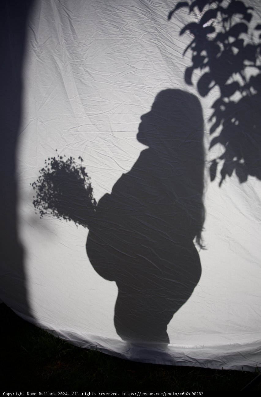 Silhouette of New Beginnings