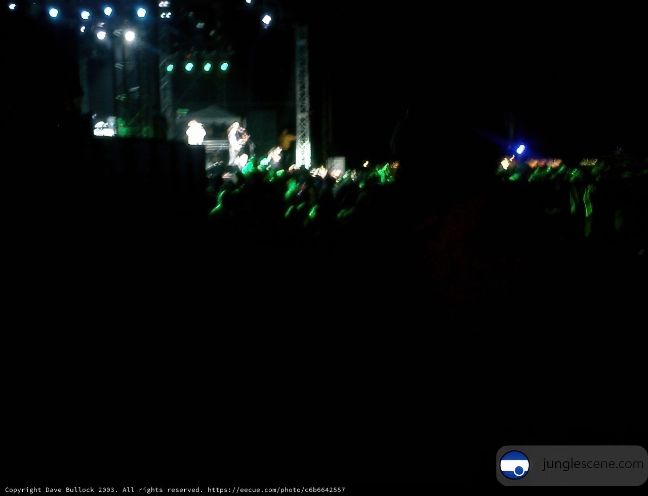 Lights and Nightlife at Coachella Concert