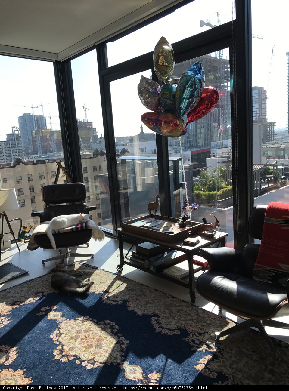 Cozy Living Room with Cityscape View