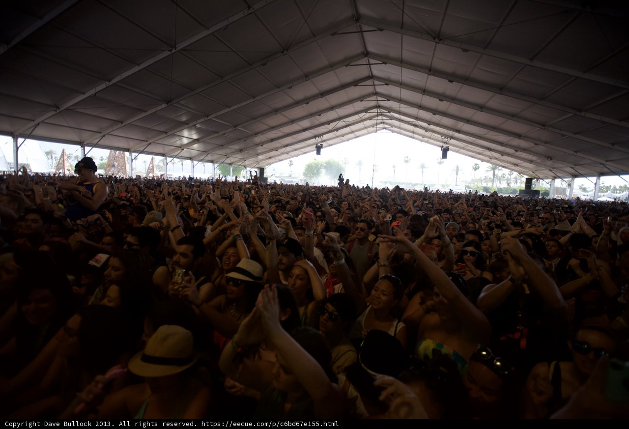 Electric Crowd at Coachella