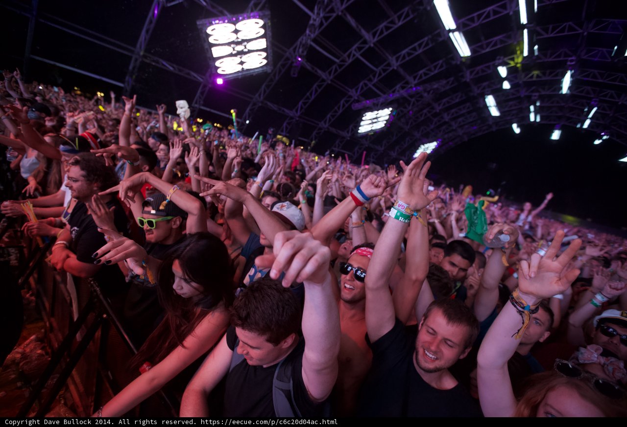 Coachella Crowd Goes Wild