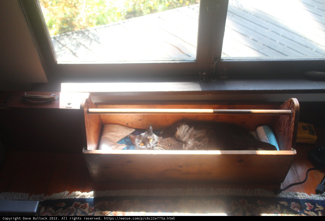 Cozy Cat in a Wooden Box
