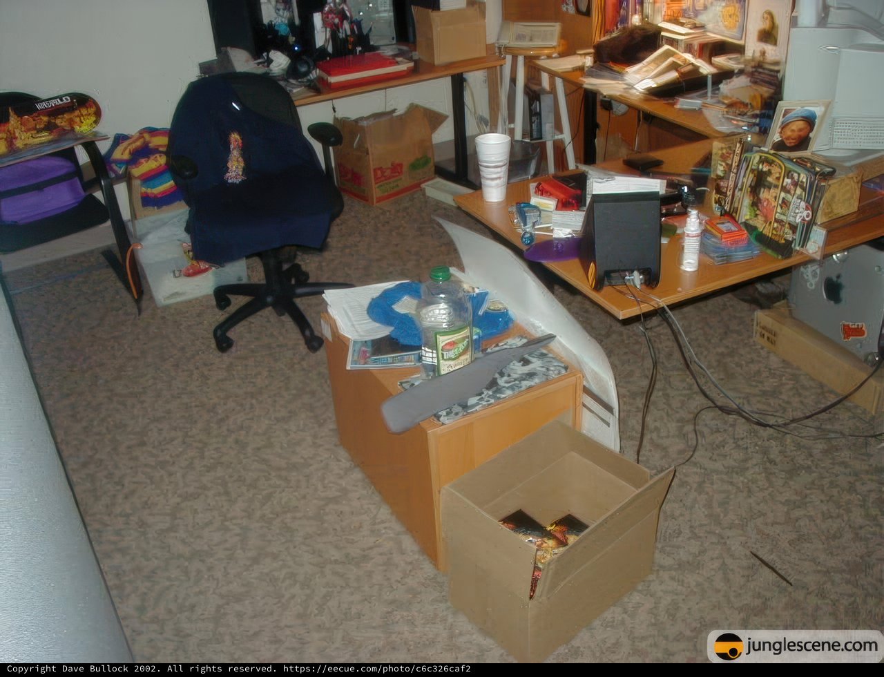 Chaos on my Desk