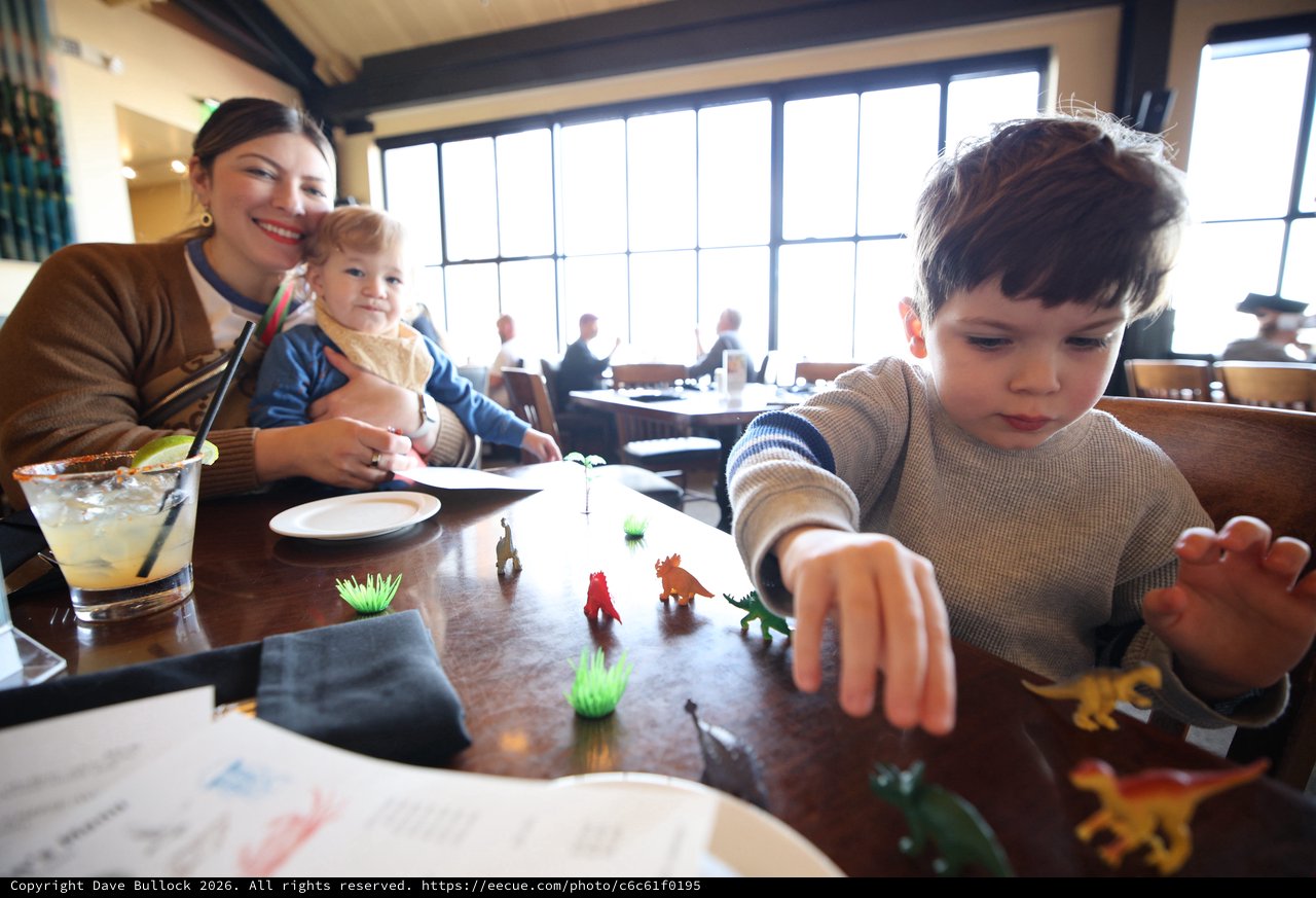 Family Dining Out with Young Children and Toy Dinosaurs